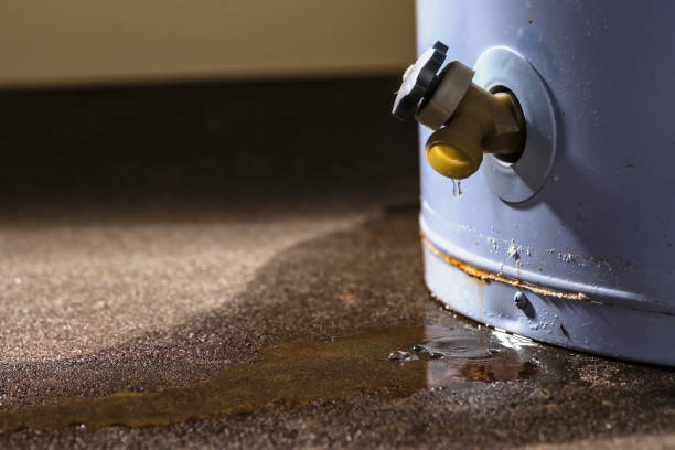 Best Water damage cleanup near me  in Helena Valley Northwest, MT