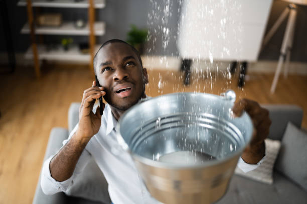 Professional Water damage restoration in MT