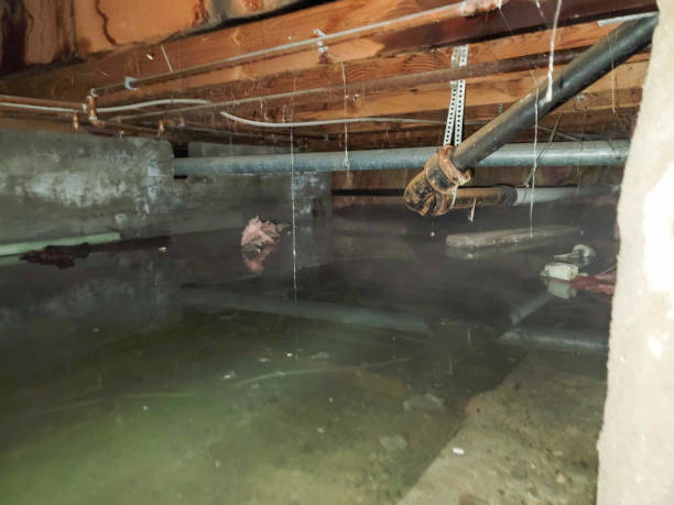 Best Water damage repair service  in Helena Valley Northwest, MT