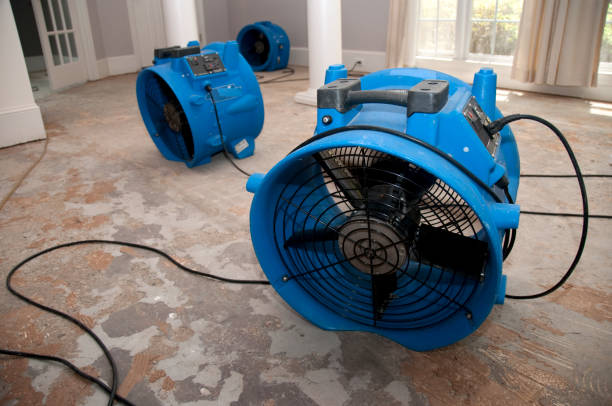 Best Basement water damage restoration  in Helena Valley Northwest, MT