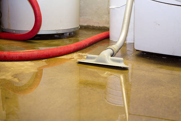 Best 24-hour water damage restoration  in Helena Valley Northwest, MT